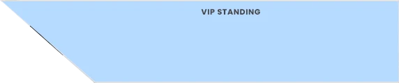 VIP Ticket